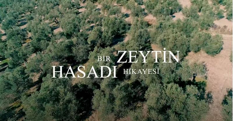 Zeytin Hasadı Belgeselinde TACliler
